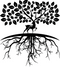 Tenderlyrooted US Store Logo