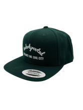 Load image into Gallery viewer, Tenderlyrooted snapback hat
