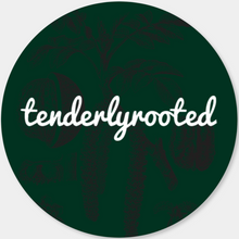 Load image into Gallery viewer, Sticker Pack (4&quot; stickers)
